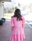 Blush Charm Gingham Dress