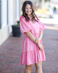 Blush Charm Gingham Dress