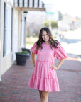 Blush Charm Gingham Dress